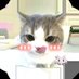 Meng🐈 open sponsor (slr) (@mengjun__) Twitter profile photo Meng🐈 open sponsor (slr) (@mengjun__) Twitter profile photo