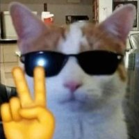 MoonTour. (@ssky20001030_) 's Twitter Profile Photo MoonTour. (@ssky20001030_) 's Twitter Profile Photo