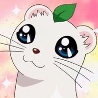 얌 (@_onforever) 's Twitter Profile