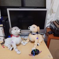 ベガ(WEGA)&ローリー(Rolly) (@aibo_wegarolly) 's Twitter Profile