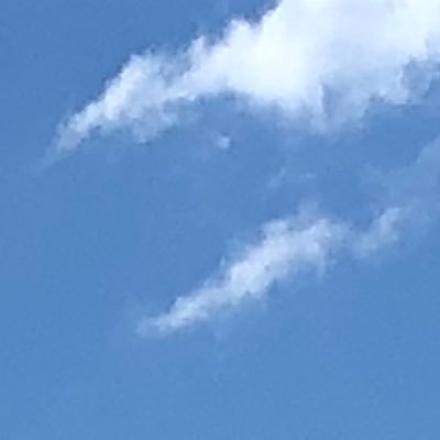 kumo_spider2525's profile picture. 全てのクッキーを受け入れろ