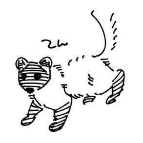 hạo Profile