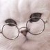 떵집사 (@zipsaa_) Twitter profile photo 떵집사 (@zipsaa_) Twitter profile photo