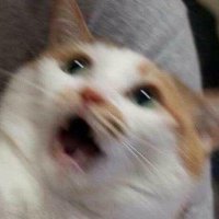 ๐ (@newsuhanmoo) 's Twitter Profile