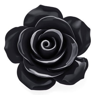 venessak13's profile picture. Notes & Research 📖