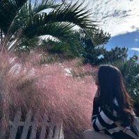윤닻 (@yun_dat) 's Twitter Profile