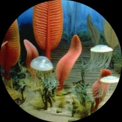 nenleftrizedady's profile picture. 