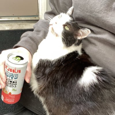 Jessie_xx00's profile picture. Cat Mama 😻😻😻, Dog Mama 🐶, Baked Good Maker 🍪🧁, Recreation Therapist 😁, 12/19/15 💞