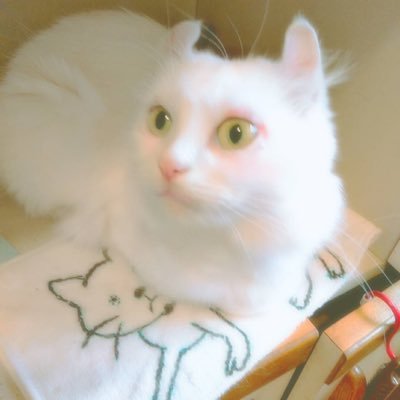 ビスケットさんのプロフィール画像