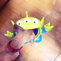 みっく (@mick1126) 's Twitter Profile