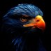 Hosam Saleh (@hosamsaleh305) Twitter profile photo Hosam Saleh (@hosamsaleh305) Twitter profile photo