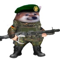 Andï_Waffenlieferungsultra 🇩🇪 🇪🇺 🇺🇦 (@muffenengel) 's Twitter Profile