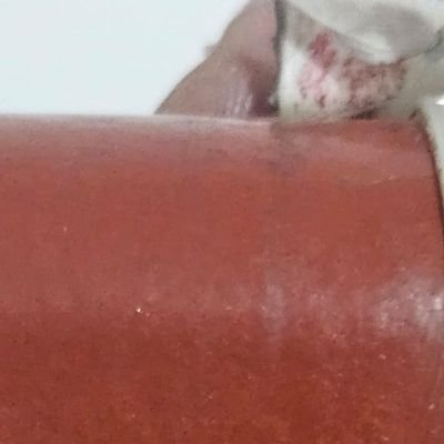 Alison516599631's profile picture. 