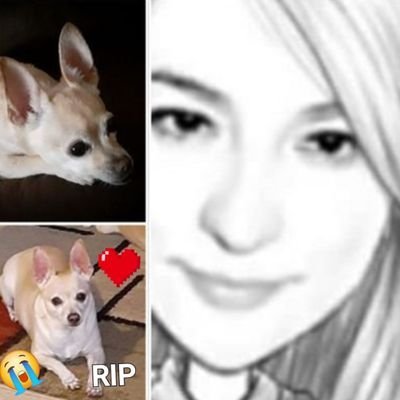#YoEstoyConBukele. I ❤️ 🐾 .💔😭➕️🐾🐾 .
🚫 NO Porn.