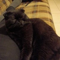kedi.bnb (@cryptograndpa80) 's Twitter Profile