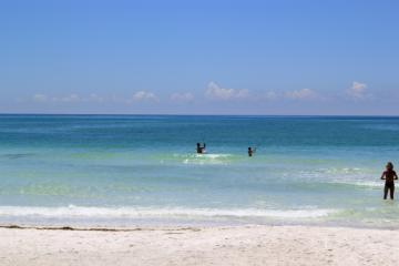 marcking9999's profile picture. 