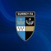 Surrey FA (@surreyfa) Twitter profile photo Surrey FA (@surreyfa) Twitter profile photo
