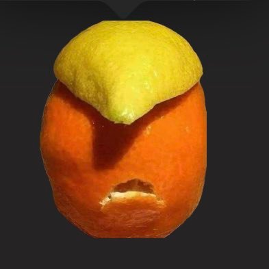 Trumpistan Profile