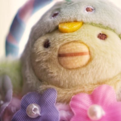 かっぱにあこがれて「こかっぱ」となのっているらしい。(本当はうちのフモフモさんかぱMサイズの名前) すみっコぐらし ぺんぎん? フモフモさんかぱとたのしくくらしています すみっコぐらし検定上級合格 いちおうインスタがある。sun_kappa