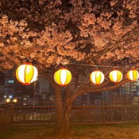 やま (@yama_mma_) 's Twitter Profile