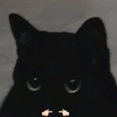 KM_Vex's profile picture. イカアレルギーだからタイフーンも食べない方がいいらしい