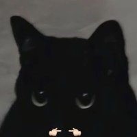 Vex (@km_vex) 's Twitter Profile