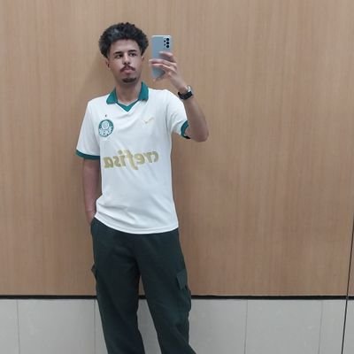 Esse perfil se resume a Palmeiras, Fórmula 1, Lewis Hamilton e o que der na telha.