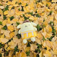 がーな。 (@pom_gaana) 's Twitter Profile Photo がーな。 (@pom_gaana) 's Twitter Profile Photo