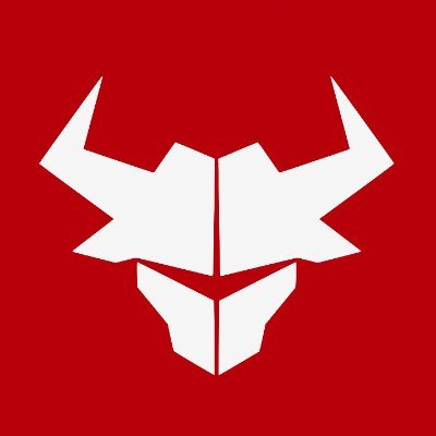 Bull Bitcoin ES Profile