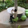 16Architect07's profile picture. 台湾の大学院留学を目指して院浪中 國立成功大學          
人間の空間や世界の公共性や土地柄などを建築で考えています
「文化財的なる建物私論」→note