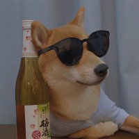 新时代中国特色社会主义新青年。 (@chenggg0) 's Twitter Profile