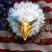 Sheranda Simpson MAGA*💯❤️🇺🇲#Trump2024 🇺🇸 (@sherakey123) 's Twitter Profile
