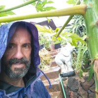 Tod Hale (@todhale) 's Twitter Profile