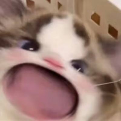 PumpedCatX's profile picture. no crying in the casino. a cat that likes to trade , make bets , eat food & drink beer. 
#Memecoins #Crypto #Stocks #Bitcoin.