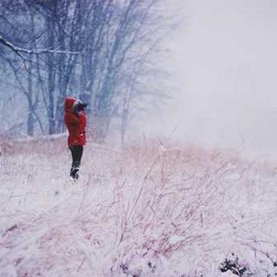 QReynalda39319's profile picture. 