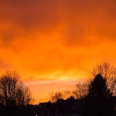 Patriotjohn1313's profile picture. 