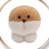 2OO2_SUZU's profile picture. ベビーカステラ派