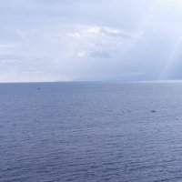 alidayi (@alidayi1959) 's Twitter Profile