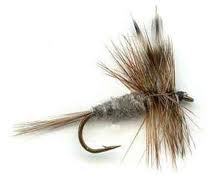 mostly retired coffee professional, fly fishing enthusiast, hobby farmer, food lover,
