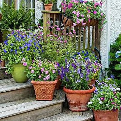 BOMOND_777's profile picture. 