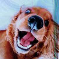 edgex SuperFans (@edgex50) 's Twitter Profile Photo edgex SuperFans (@edgex50) 's Twitter Profile Photo