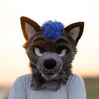 Dingo (@beansdingo) 's Twitter Profile Photo Dingo (@beansdingo) 's Twitter Profile Photo