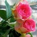 Lalit singh (@lalit40532) Twitter profile photo Lalit singh (@lalit40532) Twitter profile photo
