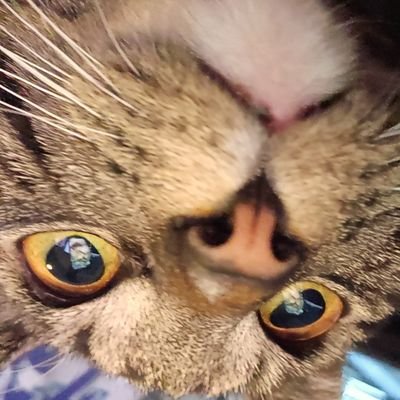 Milenbro1's profile picture. 21 Netherlands