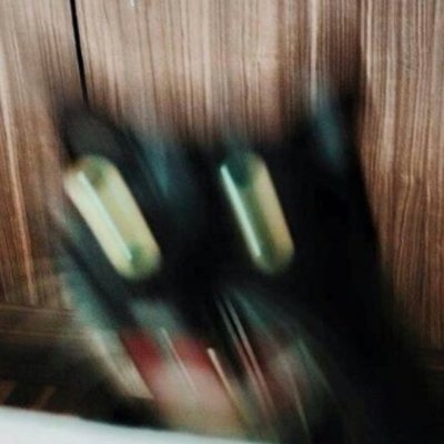 Kyugi__TV's profile picture. 21 | Kyugi’s only X account. I'll post literally anything. Schedules, art, covers, updates on videos being released, etc. Come check out my channels! :)