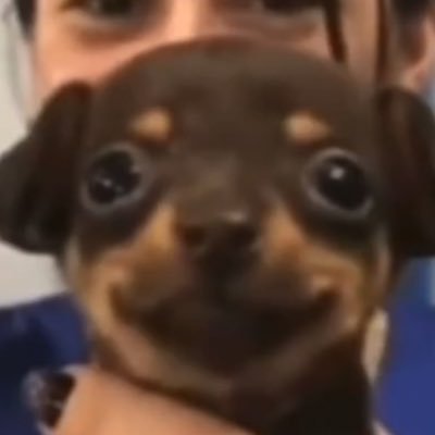 PTSDDONN's profile picture. 👑🦁♊️