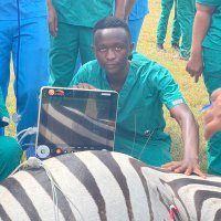 Dr.Julius John (@julius72236) 's Twitter Profile