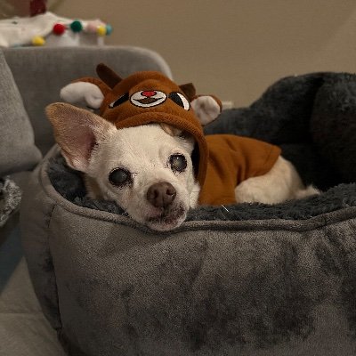 Retweeting 🐶 & 🐱 needing rescue
ᵇᵗˢ ⟭⟬ ♡ ⟬⟭ ∞ ⁷◴₁₃ 💜💜💜💜💜💜💜💜
⟬⟭⟭⟬⁷💜ⒷⓉⓈ