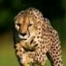 Gidi (@gidi1514665) Twitter profile photo Gidi (@gidi1514665) Twitter profile photo