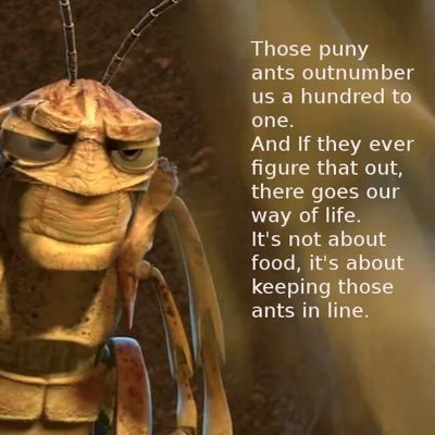 ZPerun's profile picture. 